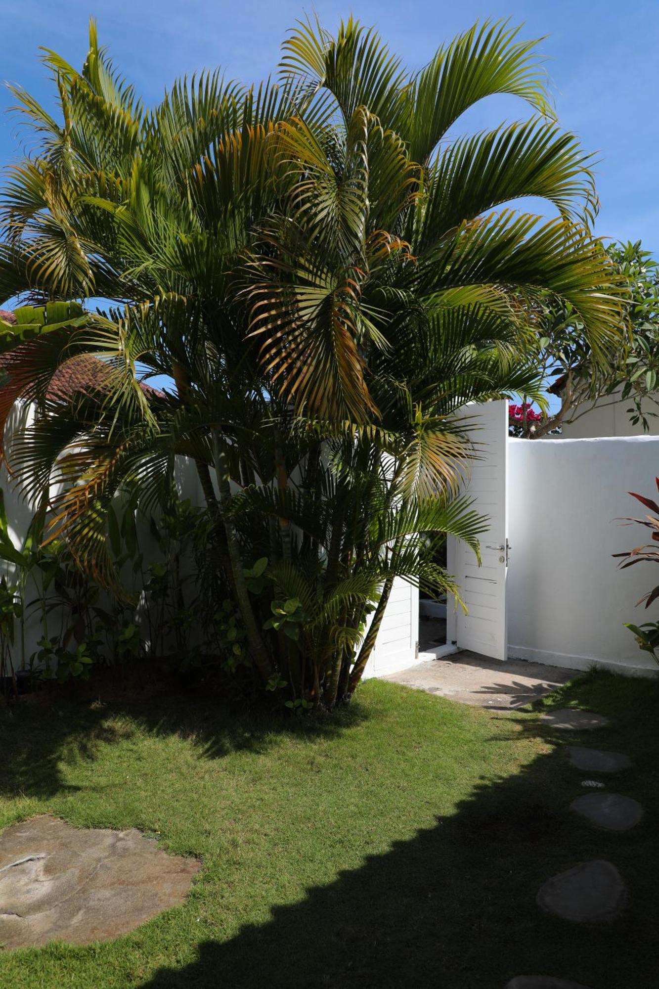 Villa Tom&Lucie Bingin Beach Uluwatu Exterior foto